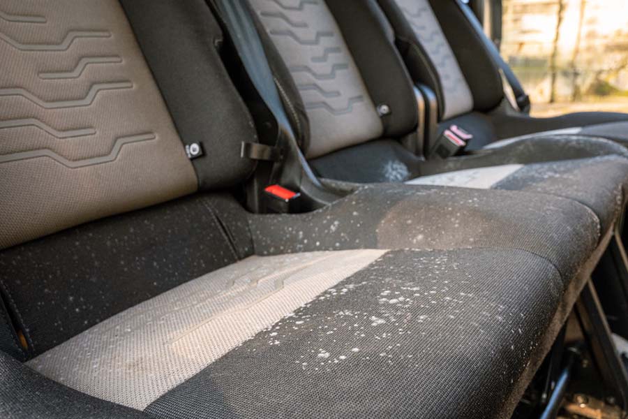 How to Clean Mold Out of Car