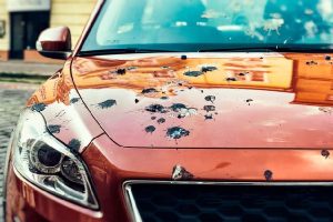 How-to-Remove-Old Bird-Poop-Stains-from-Car